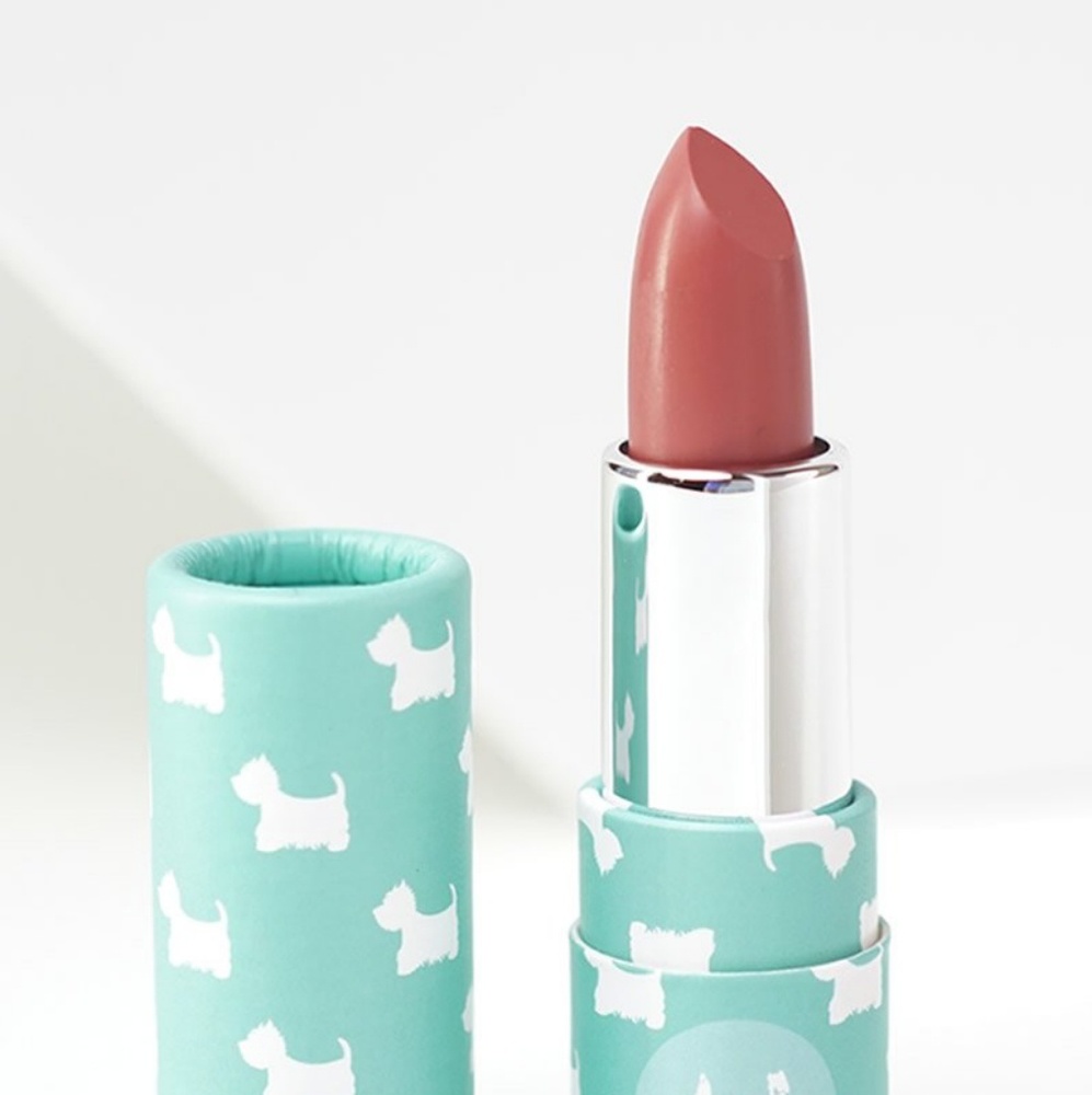 Color The World lipstick